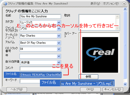 RealPlayer Nbv